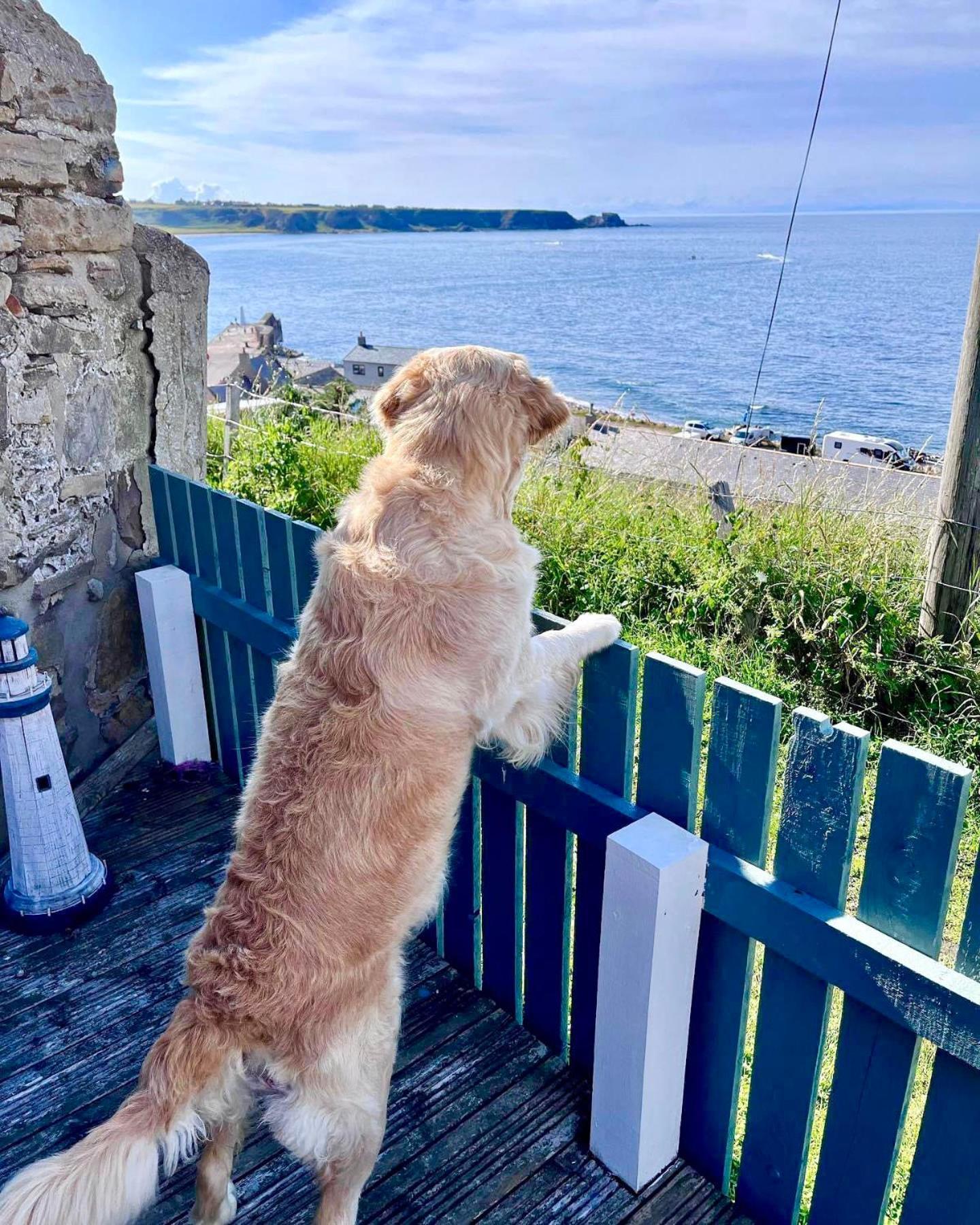 Hill Crest - Cliff With Stunning Views Holiday home